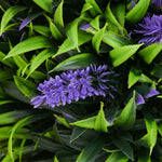 Artificial Plants, Lavender, Set of 2, 70 cm UV-resistant, Green