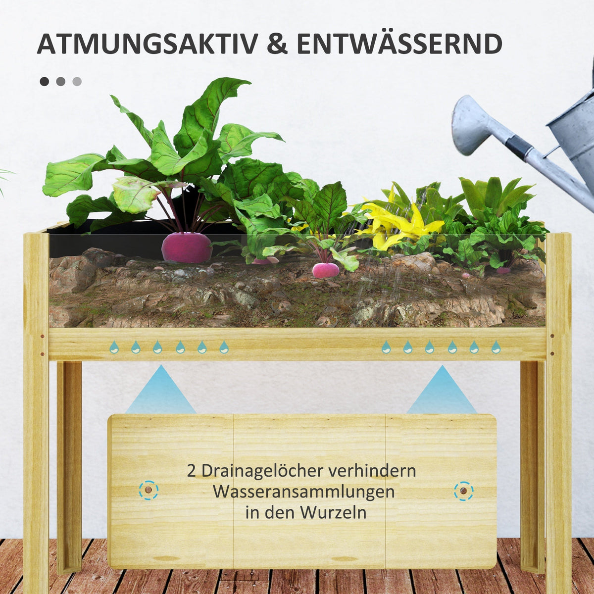 Raised Bed, Acrylic Panels Wood, Natural Wood