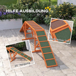 Dog Agility Bridge, Non-Slip Surface, Orange