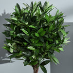 Artificial Bay Trees, 120 cm, Cement Pot, Green