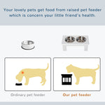 Raised Dog Bowl, Stainless Steel, MDF White