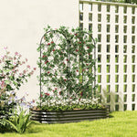 Metal Trellis 2-Piece Set, Rustproof 50x150cm Climbing Aid, Black