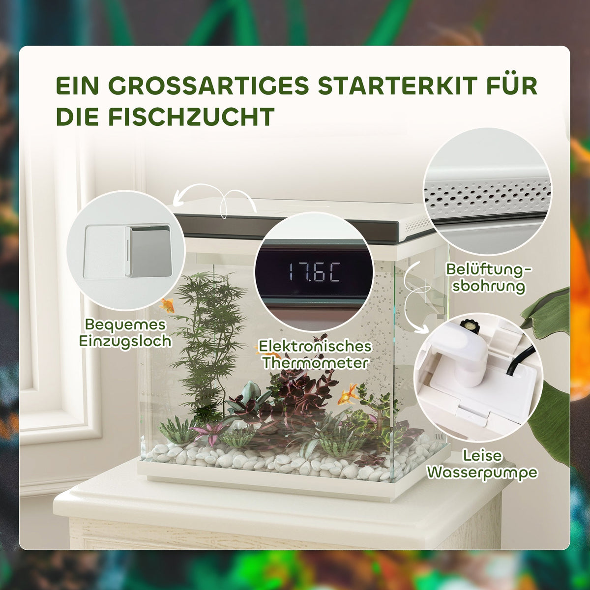 Aquarium 26-Liter, Filter, LED Lighting, Water Pump, Clear Glass