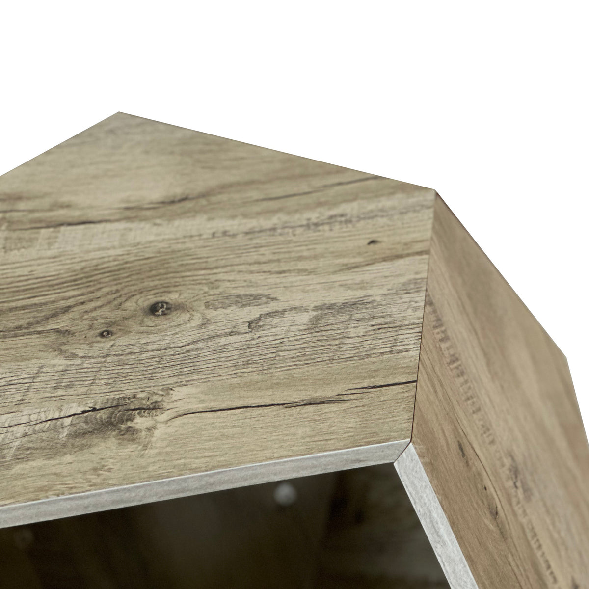 Cat Carrier Sofa Side Table Planter, Modern Multifunctional Furniture, Colored Flower Oak