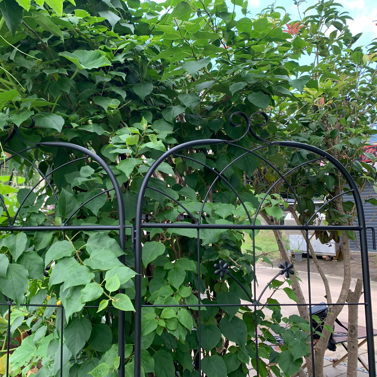 Garden Trellis, 2 Pack Climbing Plants, Metal