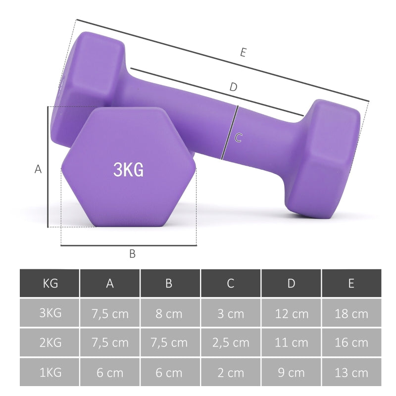 Dumbbell Set with Storage Rack, 6 Weights for Fitness Training (2x1kg, 2x2kg, 2x3kg)