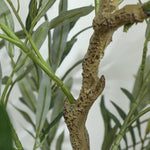 Artificial Olive Tree, 150 cm, 720 Leaves, Green
