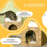 Rattan Cat Cave 2-Level Cushion, Water Hyacinth Brown