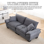 Double Sofa, Modern Simple Feather Bed Cozy Spacious, Dark Grey