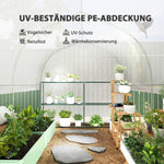 Greenhouse Polytunnel, 3x2x2m, 4 Windows & Door, White