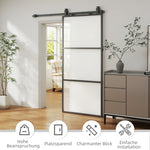 Sliding Door, Frosted Glass Soft-Close Track System, Steel Black