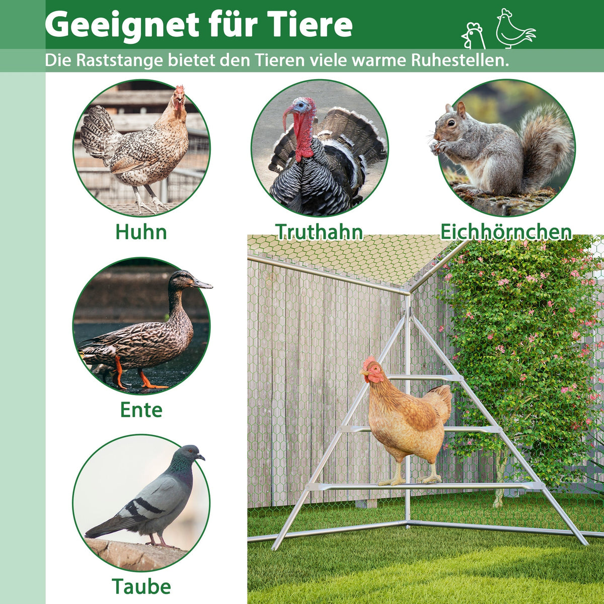 Giant Professional Chicken Coop Aviary 3x6m with Climbing Frame Metal