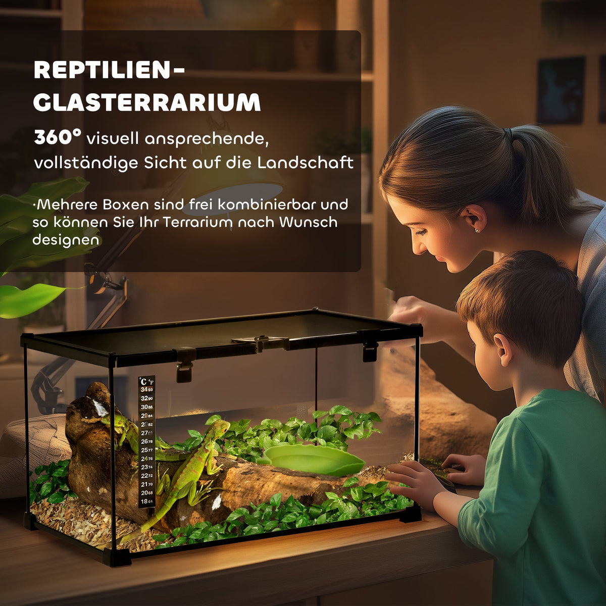 Terrarium, Reptile Feeding Box, Glass