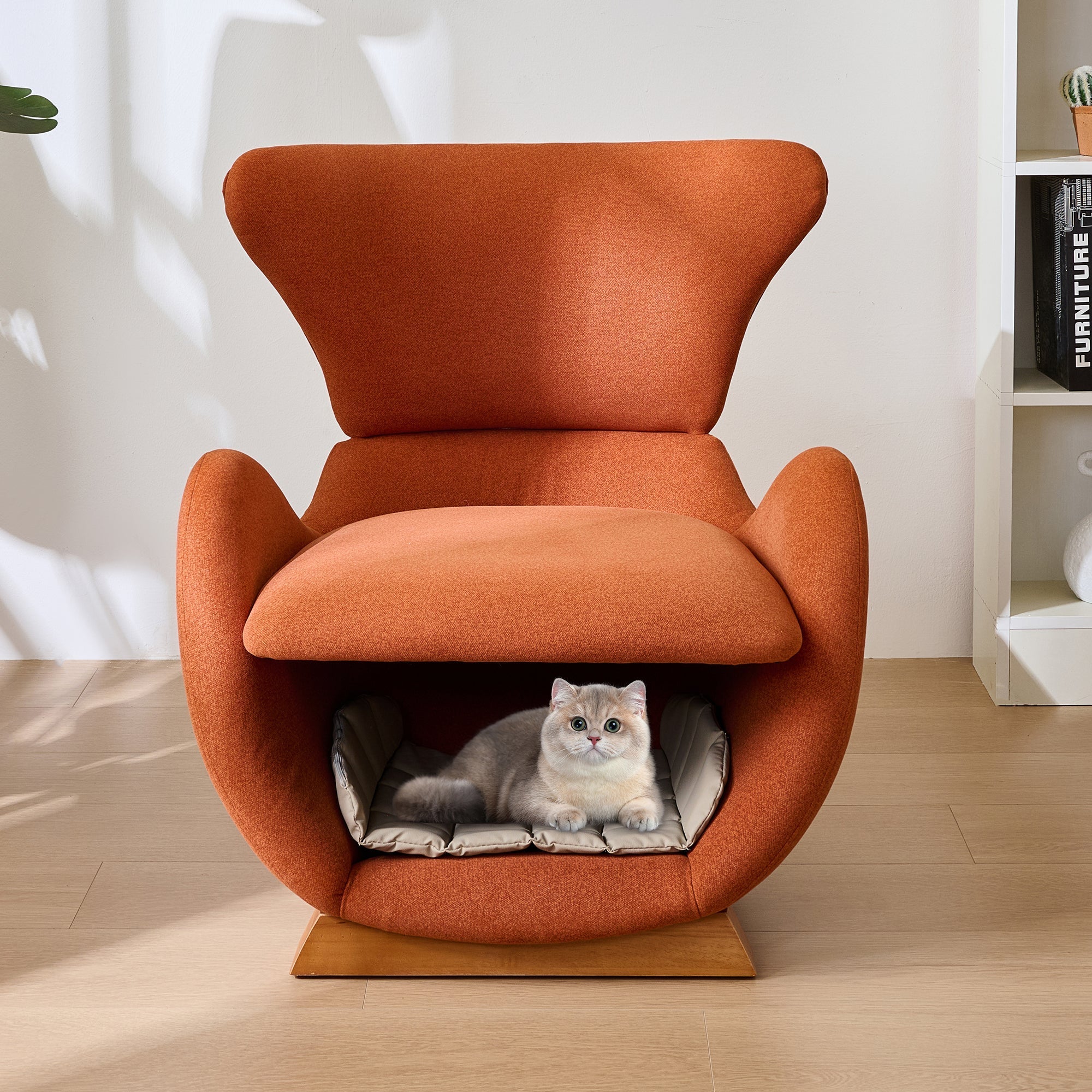 Designer Lounge Chair - Pet-Friendly, Anti-Scratch Fabric