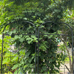 Garden Trellis, 2 Pack Climbing Plants, Metal