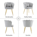 Chairs, Set of 4 Velvet Upholstered with Petal Back & Gold Legs, Modern