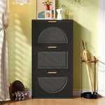 Narrow Shoe Cabinet with 3 Doors for Hallway and Living Room, Black